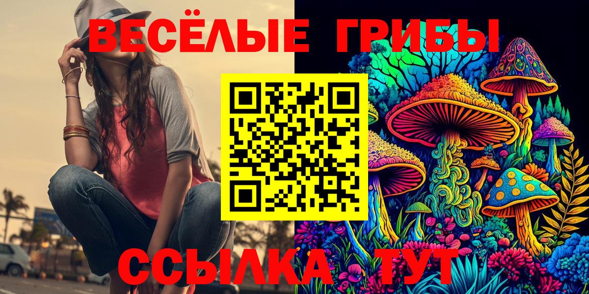 Псилоцибиновые грибы мицелий Набережные Челны