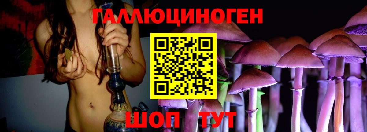 Набережные Челны  Псилоцибиновые грибы Magic Shrooms  Вход с VPN  Псилоцибиновые грибы Psilocybine cubensis 